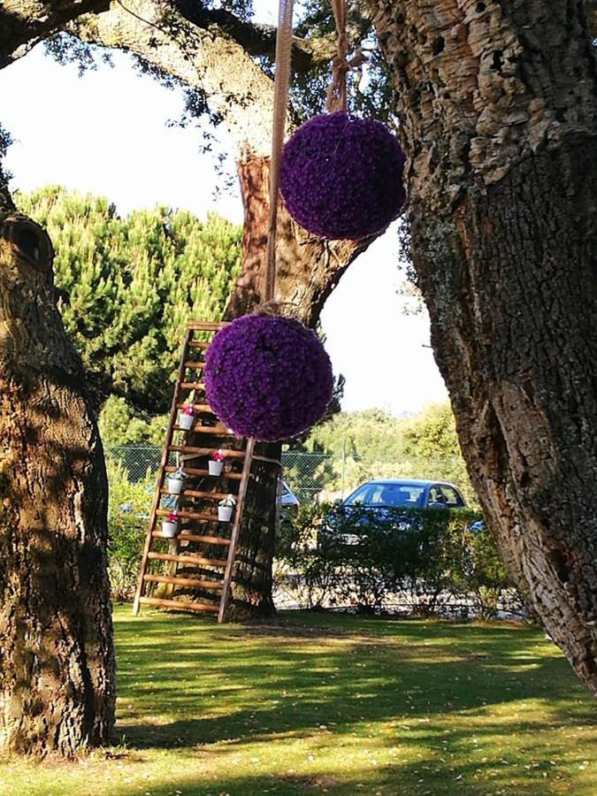 Quinta Lagus Resort - Casa De Campo Palmela Zewnętrze zdjęcie